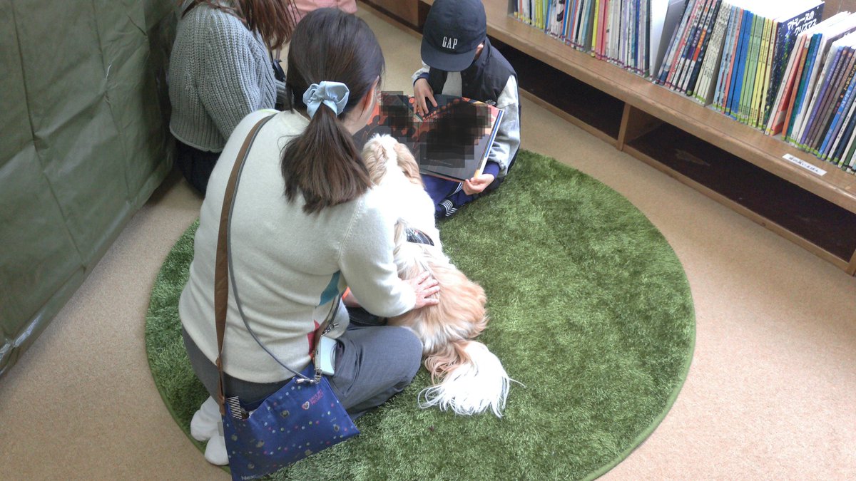 【#わんちゃん読書会＠#須磨図書館 】

★当日の様子です★

わんちゃんは参加者に寄り添ってお話を聞いていたので、皆さんしっかりと読むことができました。

#こうべ動物共生センター