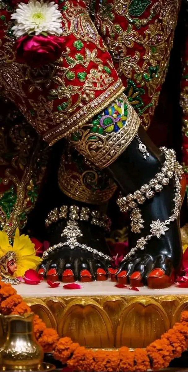 Paramita Banerjee tweet media