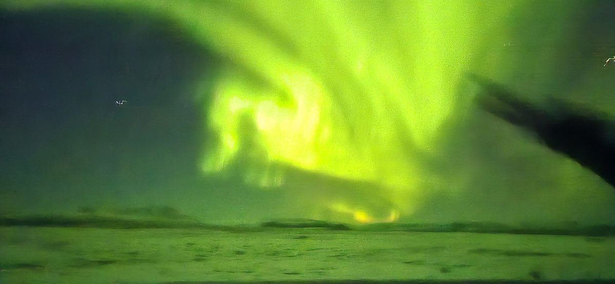 I thought the northern lights were the most beautiful things that