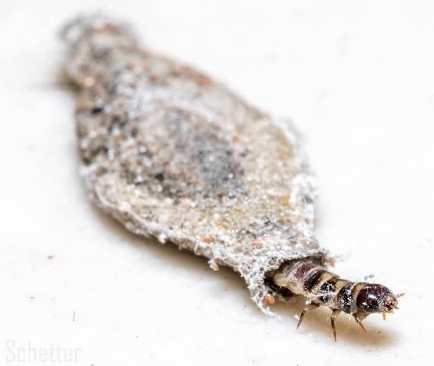 E daí? Lamento. Quer que eu faça o quê? tweet media