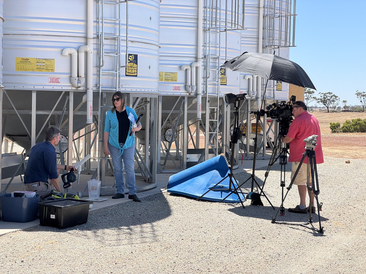 Ben White tweet media