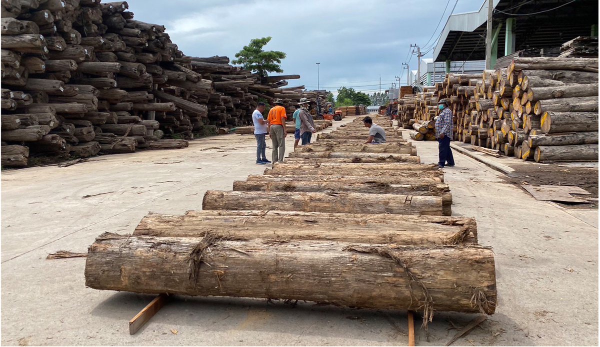 itto_sfm's tweet photo. 🎯January 2026 #GlobalTimberIndex is out now!

⚠️ Raw material shortages and persistently high production costs remained common challenges across the timber sector in pilot countries.

🔗 More on last month's key timber market trends: https://t.co/NCwpXXW9uL https://t.co/LPGJDJHGbr