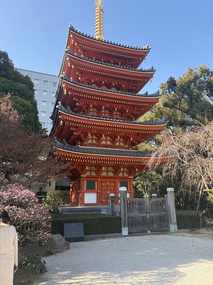 몽환/夢幻 tweet media