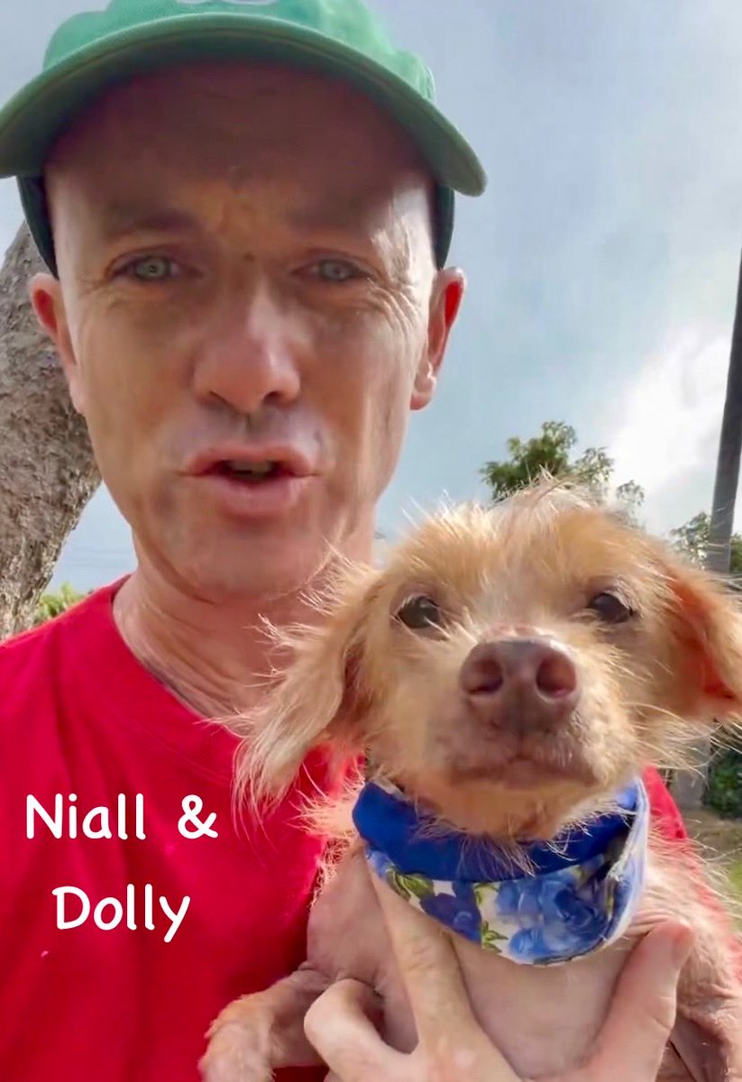 Nick Yada Yada tweet media