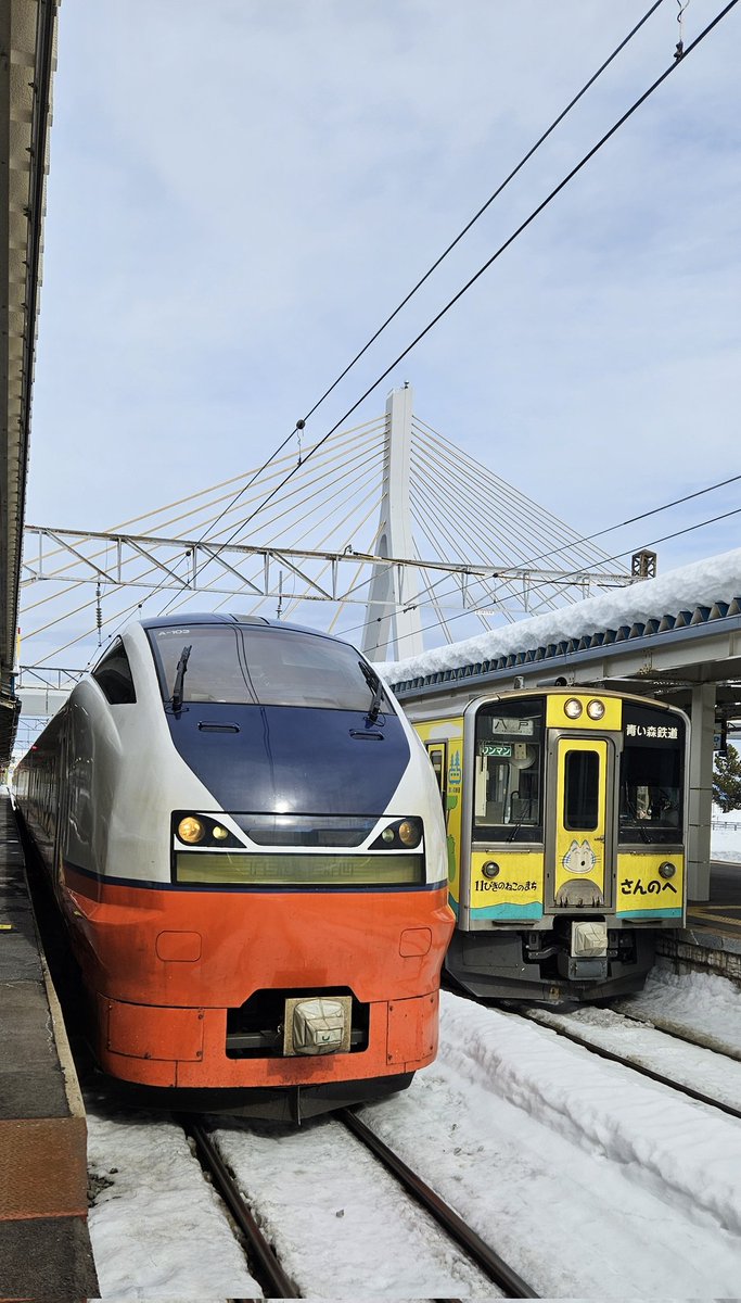 cielo_azul_24's tweet photo. きょう青森駅でみた青い森鉄道の11ぴきのねこラッピング車両 かわいいー🥰 スーパーつがると並んでよりかわいい
3月は浅虫温泉に行くから乗れるといいなー
#キュンパス https://t.co/XiMjajOV9K