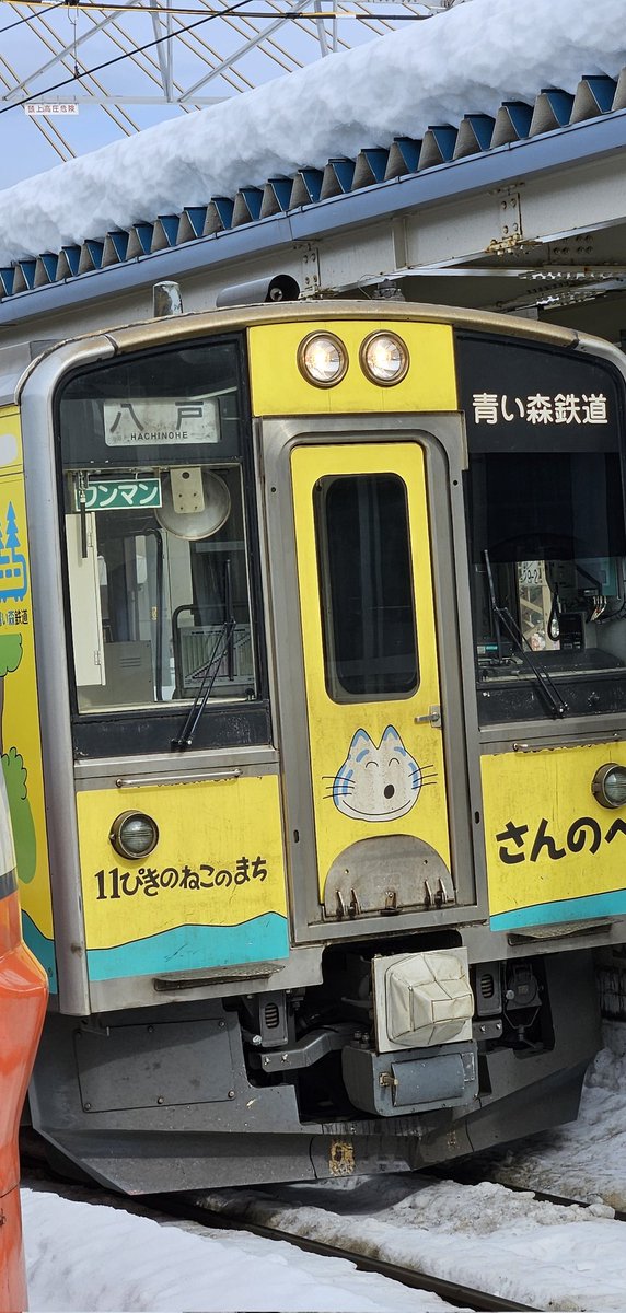 cielo_azul_24's tweet photo. きょう青森駅でみた青い森鉄道の11ぴきのねこラッピング車両 かわいいー🥰 スーパーつがると並んでよりかわいい
3月は浅虫温泉に行くから乗れるといいなー
#キュンパス https://t.co/XiMjajOV9K