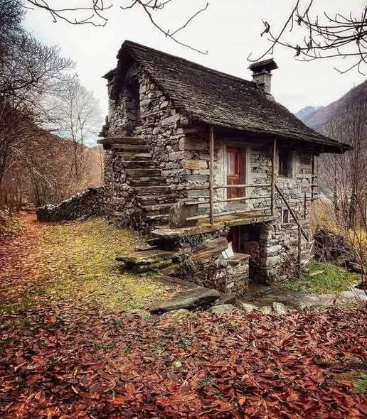 Aussi belle soit une maison, le plus important, c'est de s'y sentir chez soi.

~  Jamie Ford 🖊️
