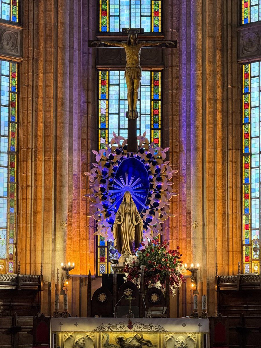 gülsoy_ŞKRN🌙 tweet media