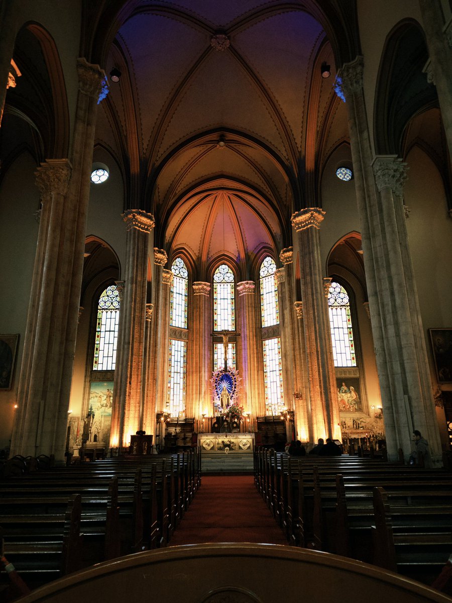 gülsoy_ŞKRN🌙 tweet media