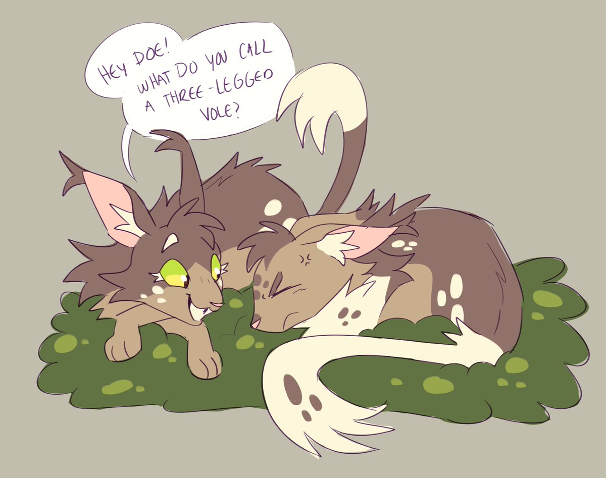 Keeping your sister up when you both have dawn patrol the next morning

....

"Pineheart found it odd that Doestar always built a nest too large for one cat. Who was the other occupant?"