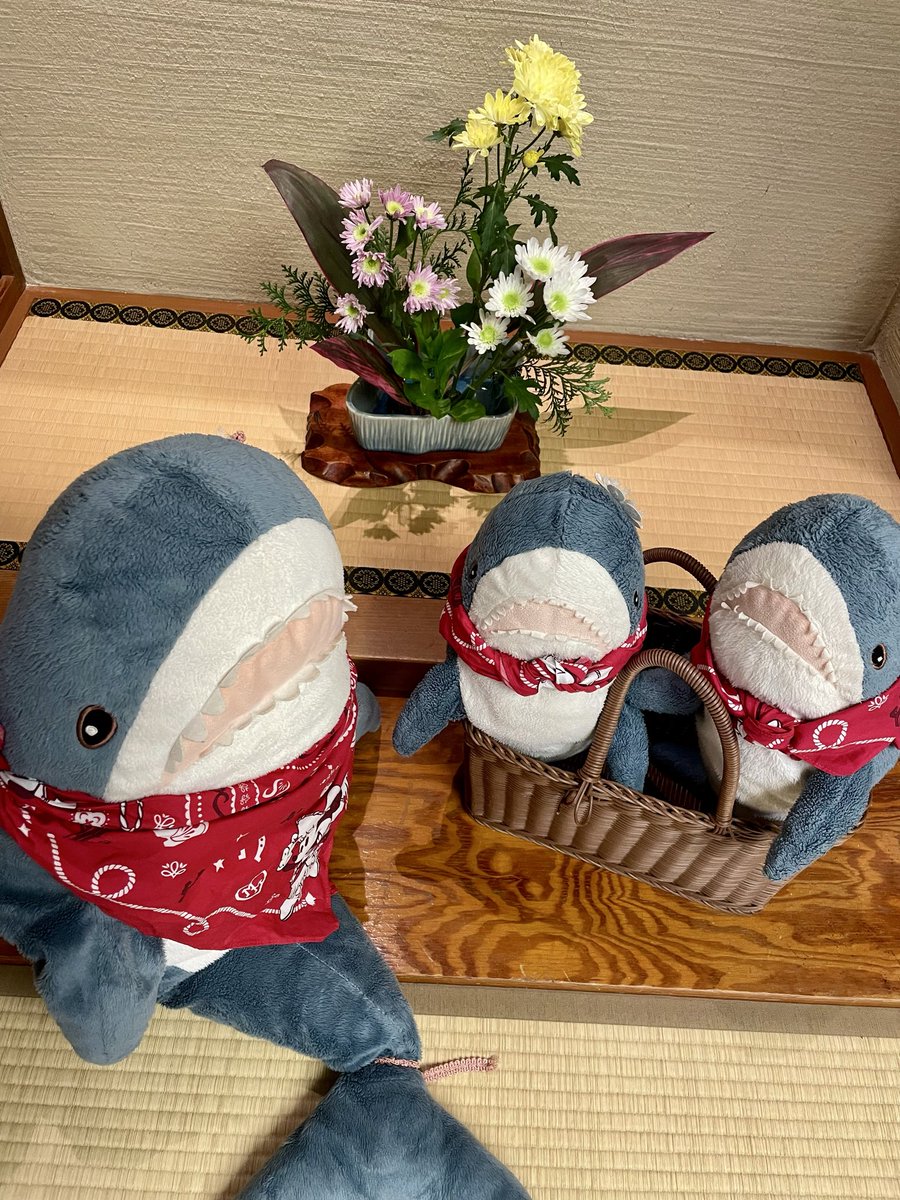 さめとん tweet media