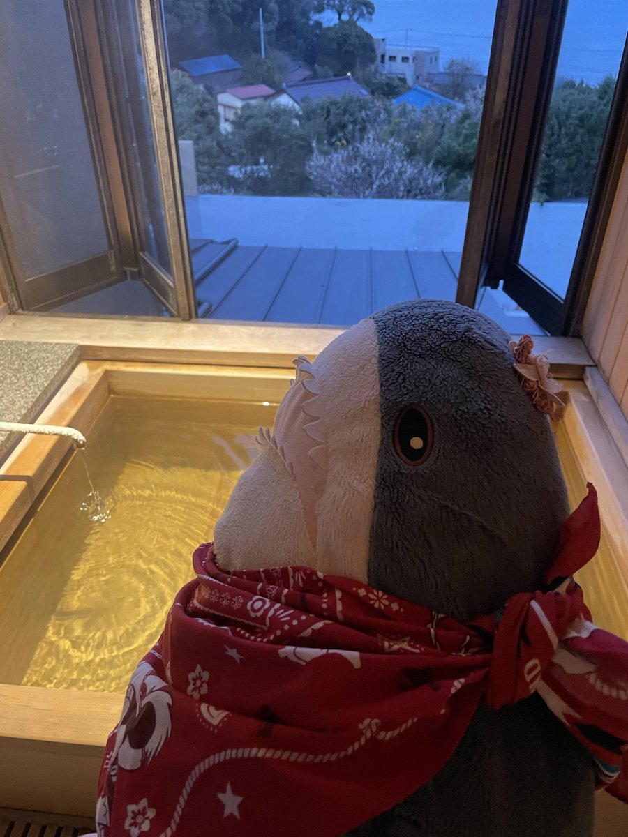 さめとん tweet media