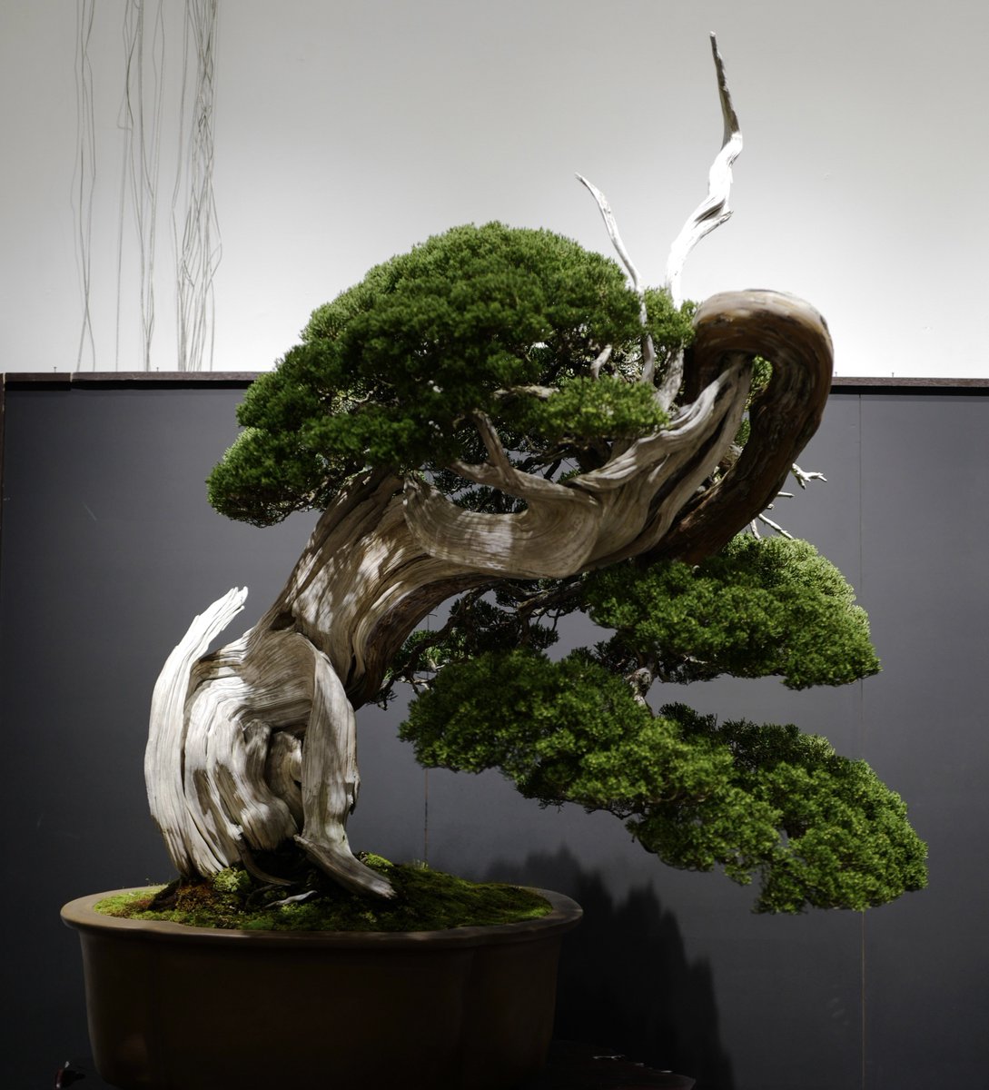 klondike (@kaoruHagii) / Posts / X