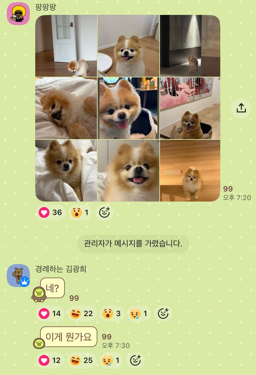 타키야끼🐙 tweet media