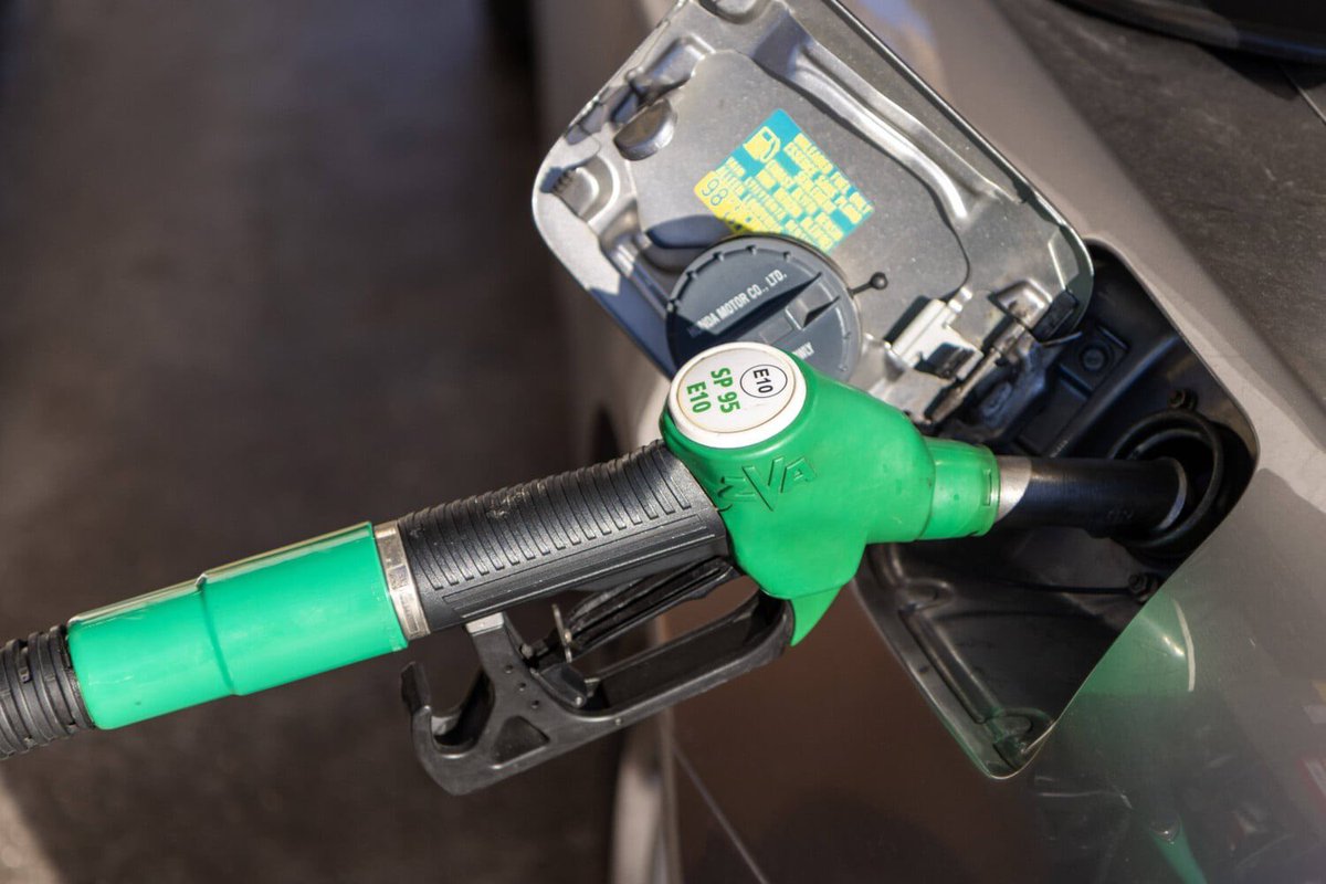 Camille Moscow 🇷🇺 🌿 ☦️ tweet media