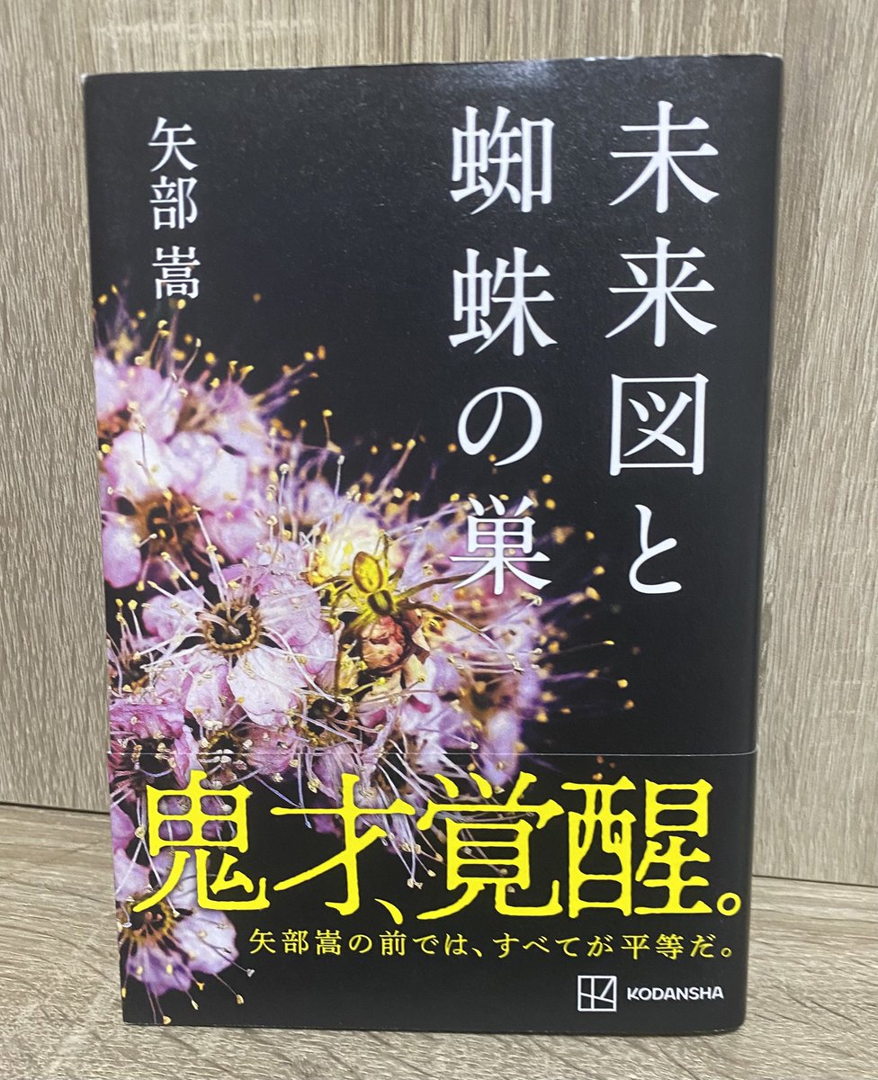2026年　25冊目
未来図と蜘蛛の巣／矢部嵩

矢部嵩によって繰り出される
独特な物語たち

血腥い、理解不能、不条理、絶望
狂ってる

でも、好きです

#読書記録 #読了