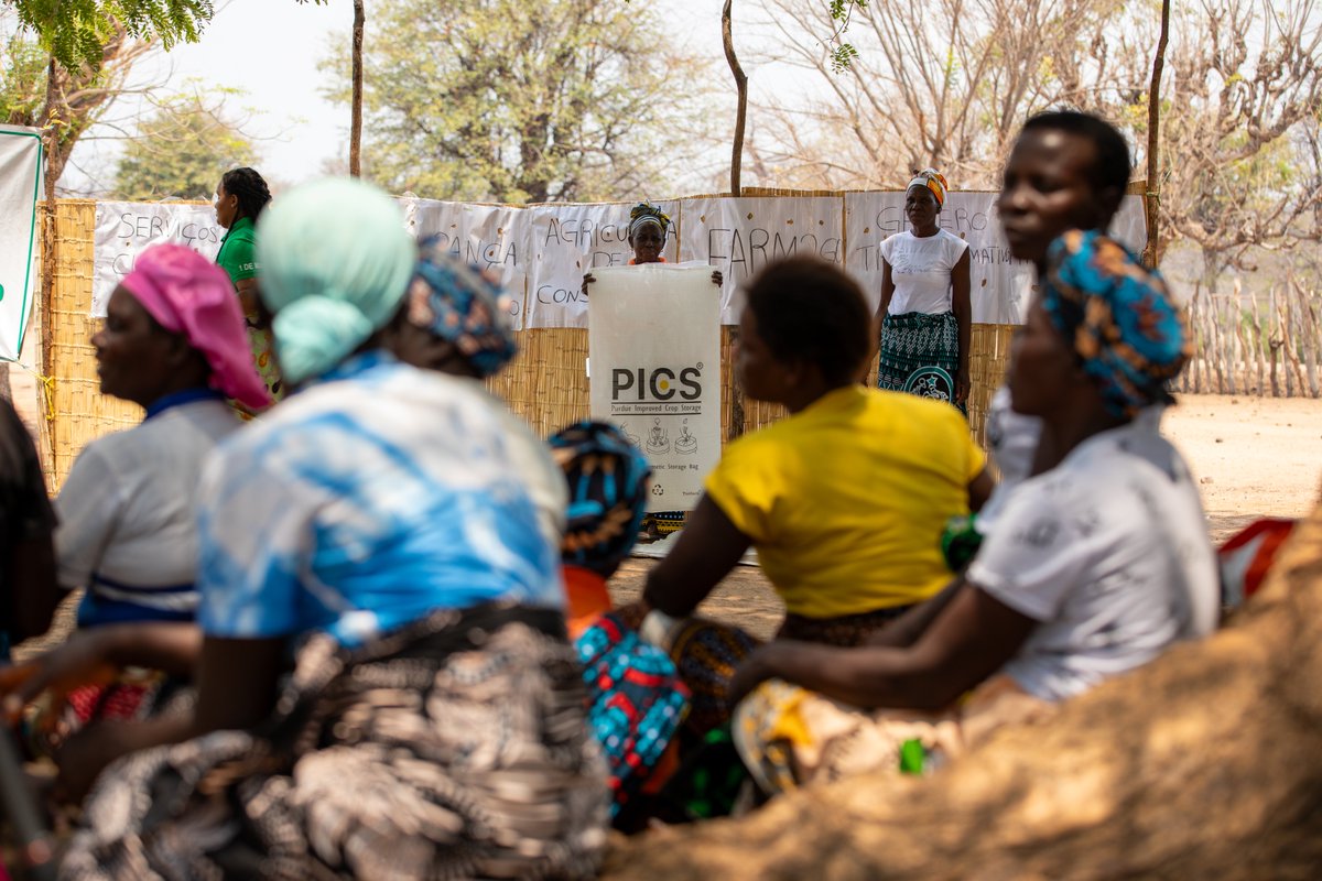 Contre la Faim et la Malnutrition tweet media