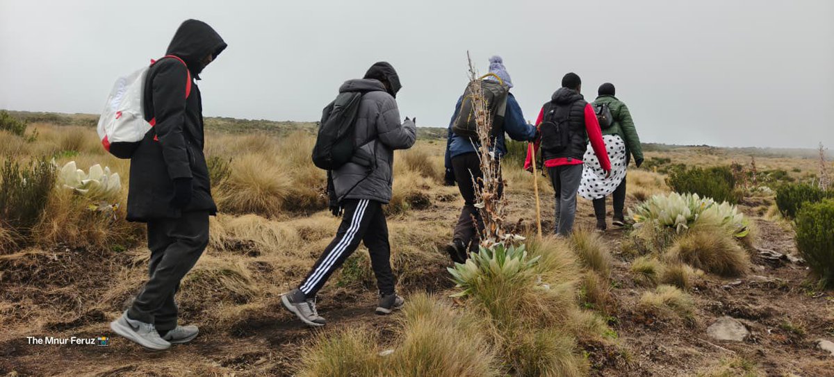 Journey For Hope CBO tweet media