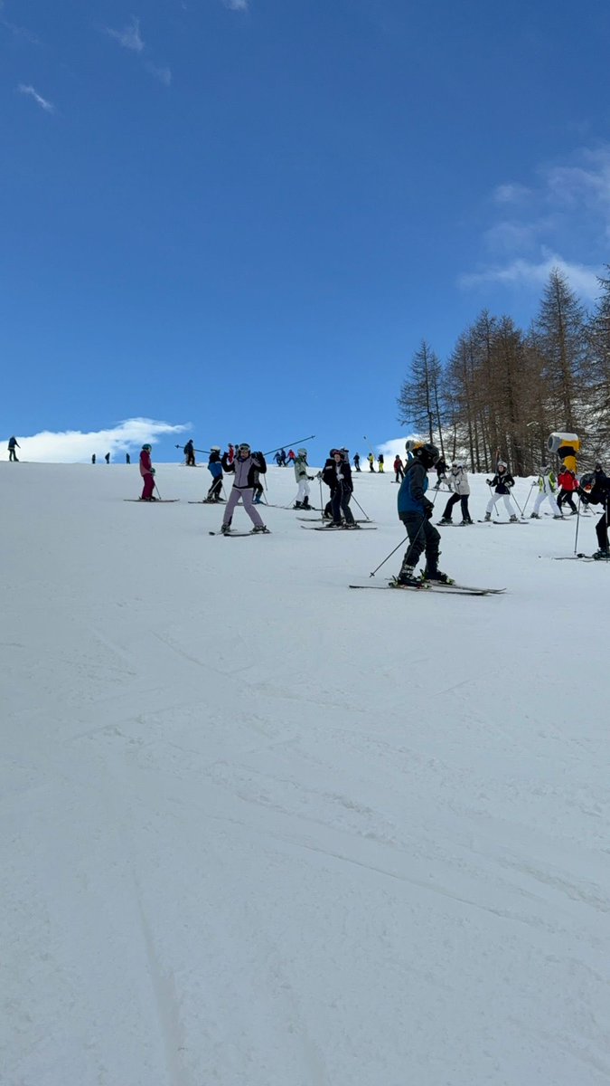 ski_CCHS's tweet photo. Looking slope ready! https://t.co/2OIuuqiL5W