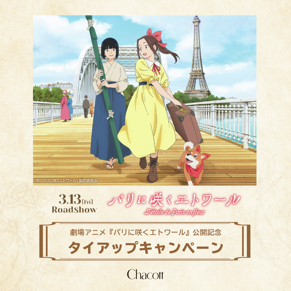 柏店でも開催中です✨