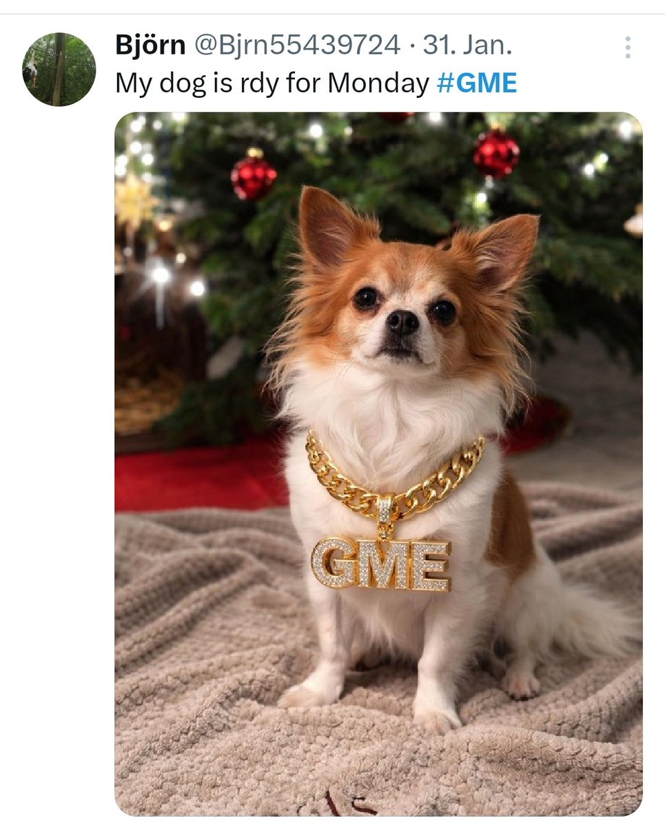 Bjrn55439724's tweet photo. @michaeljburry @ZaherTPI My dog is rdy https://t.co/rQN3IvcRai