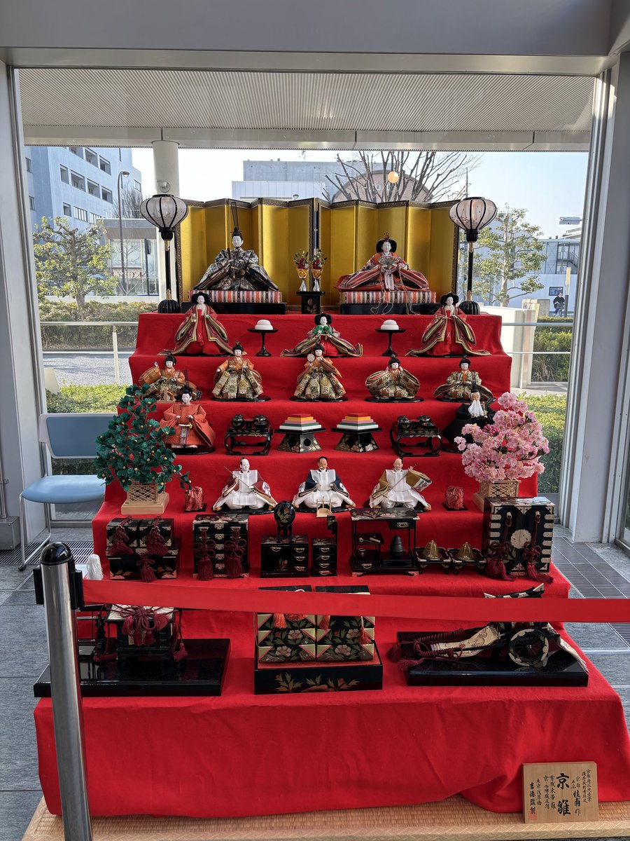 よっこ🌻🌸 (@yoshiko56526376) / Posts / X