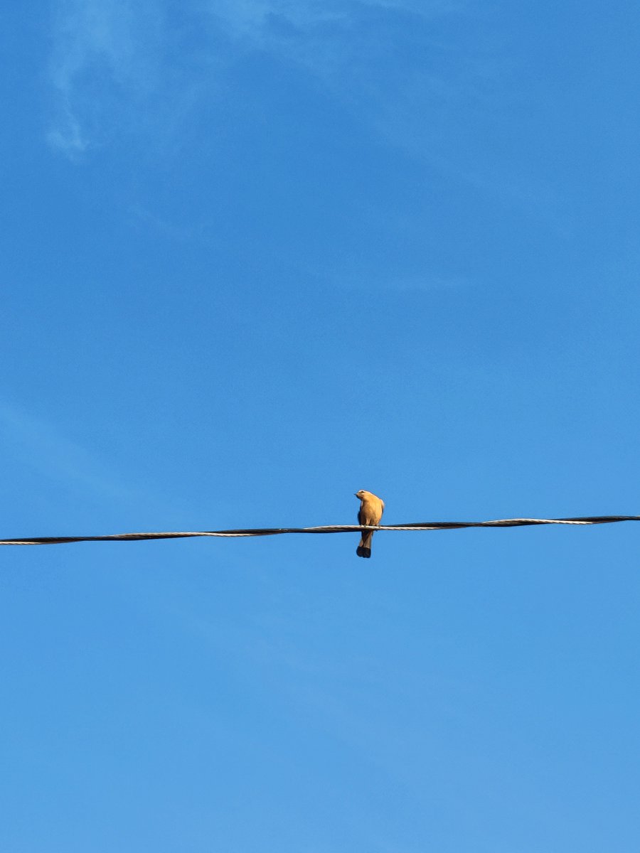 Share something with blue background