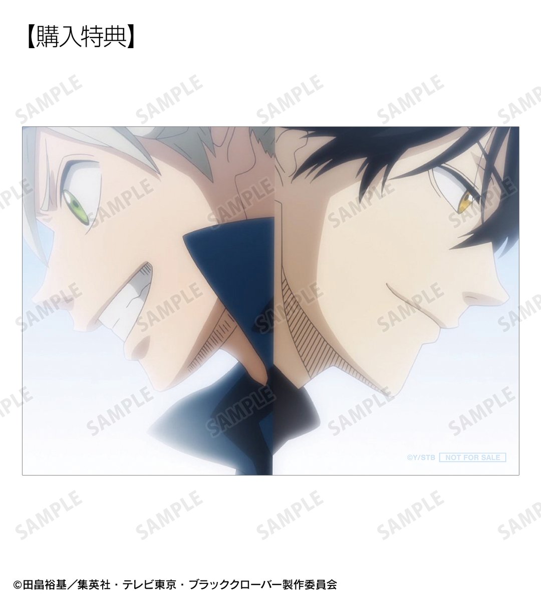 AMNIBUS（アムニバス） tweet media