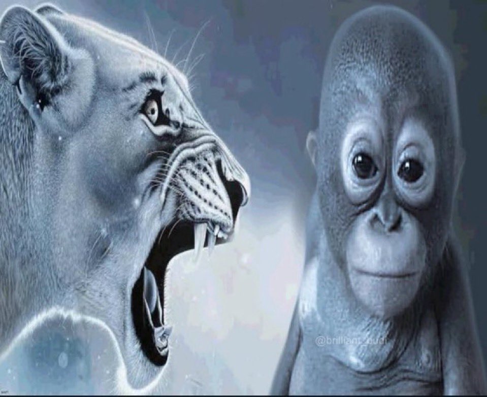 how it feels to see other ppl being friendly with my favorite friend and my jealous ass start a one sided beef with them