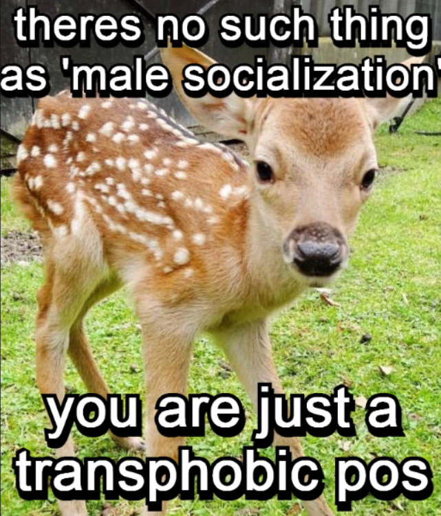 sombradascervas's tweet image. 