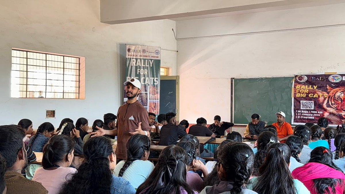 International Big Cat Alliance (IBCA) tweet media