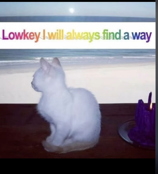 ＴＥＮＳＯＲ (@tensorgl) on Twitter photo 