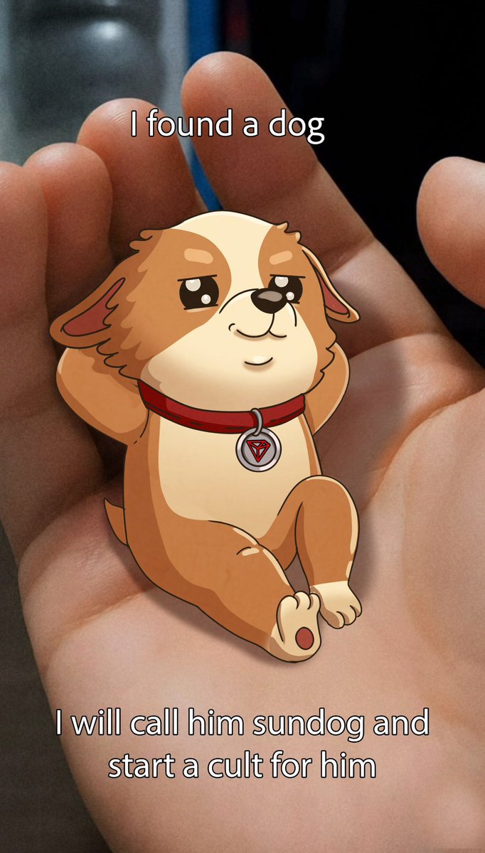 SunDog 🐾 tweet media