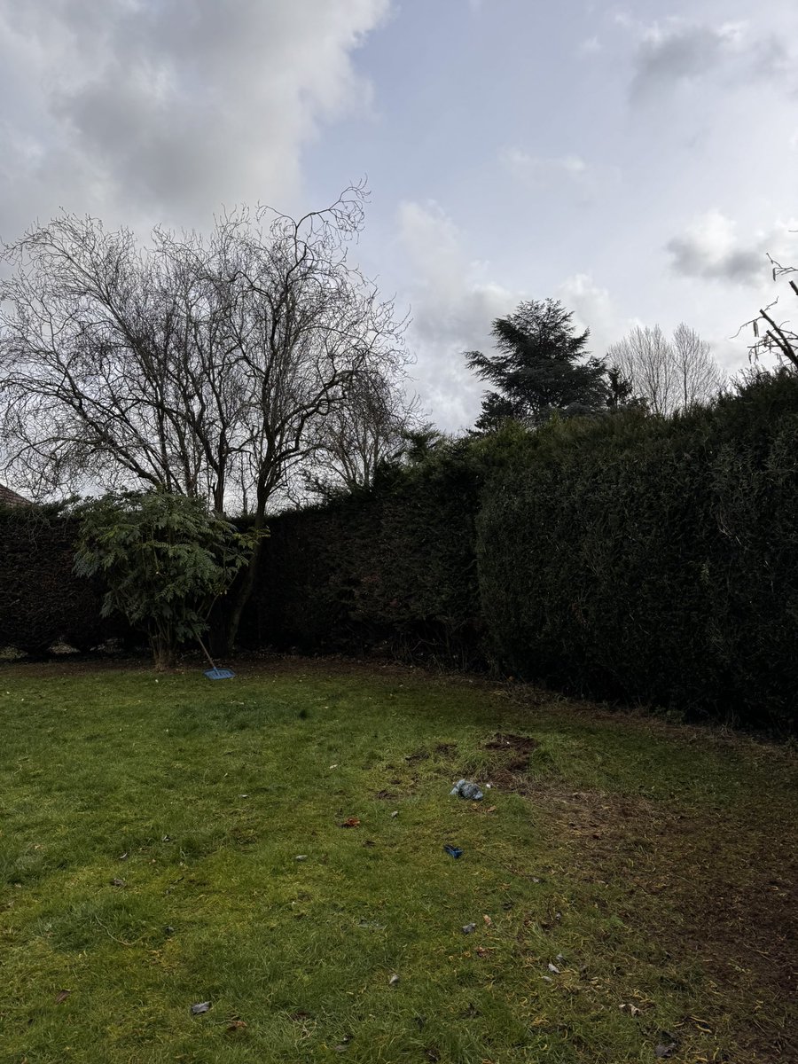 DH_Maintenance's tweet photo. Another #tidying #day & got more done on this #conifer #hedge 👍 just got to get top line sorted now 👍 https://t.co/4bzXHfopV3