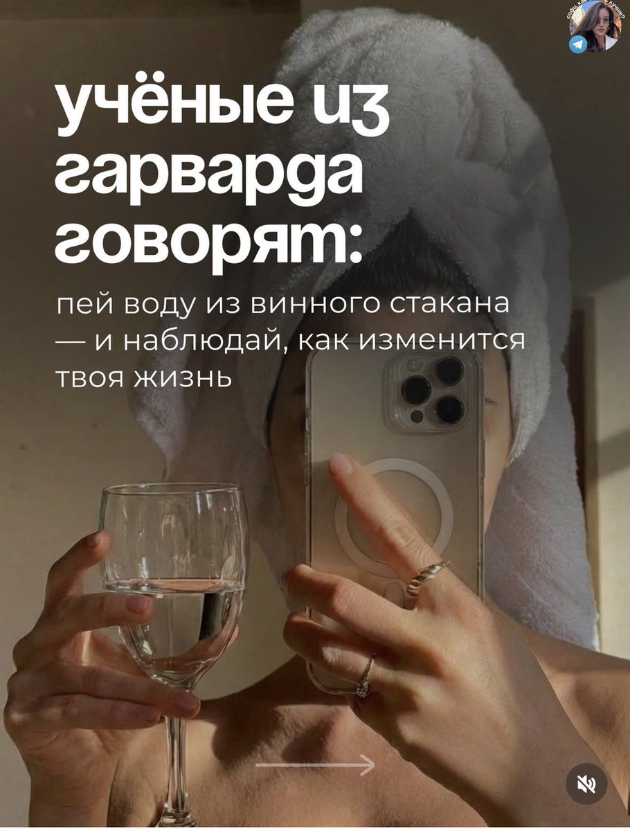 Товарищ Птаха-Поросюк tweet media