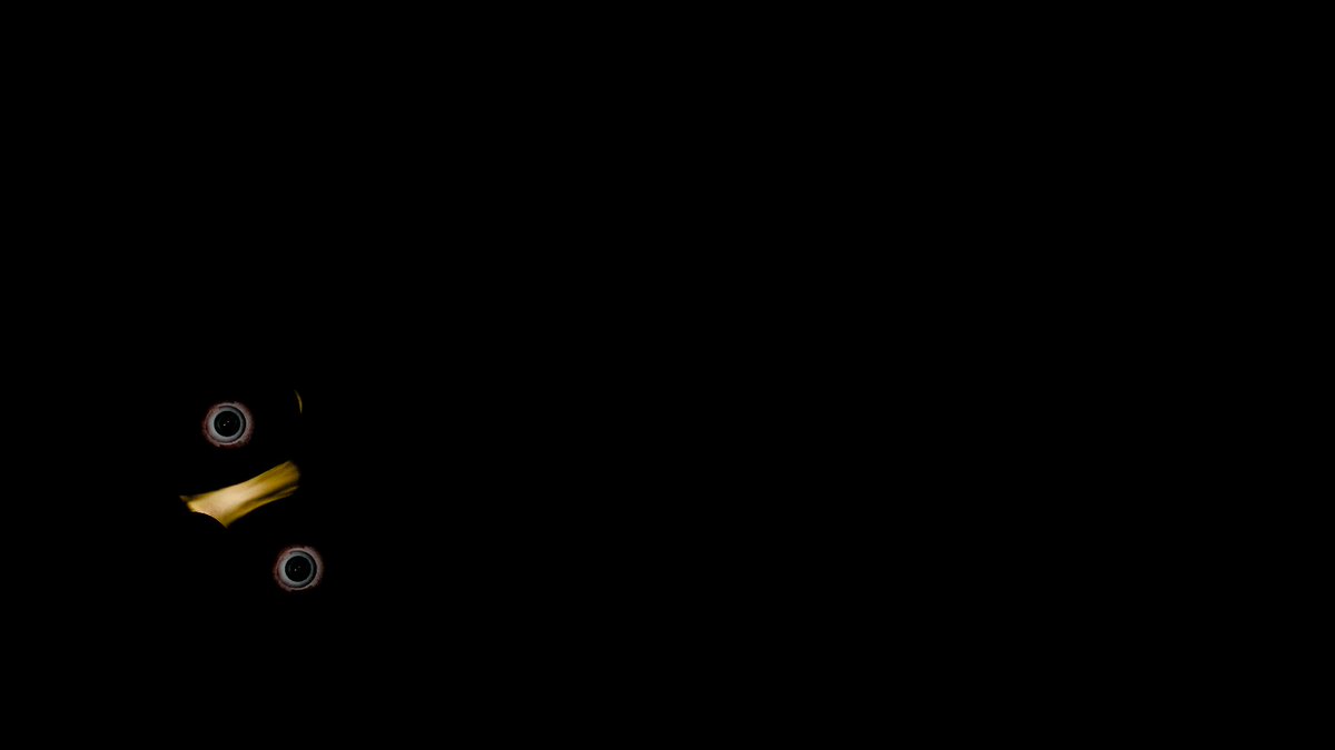 iamaslugger's tweet photo. teaser for the faces model reveal, oswalds model reveal is currently in the works and will be out BEFORE easter so yeah #teaser #fnaf #scary https://t.co/Kzr8auDVXA
