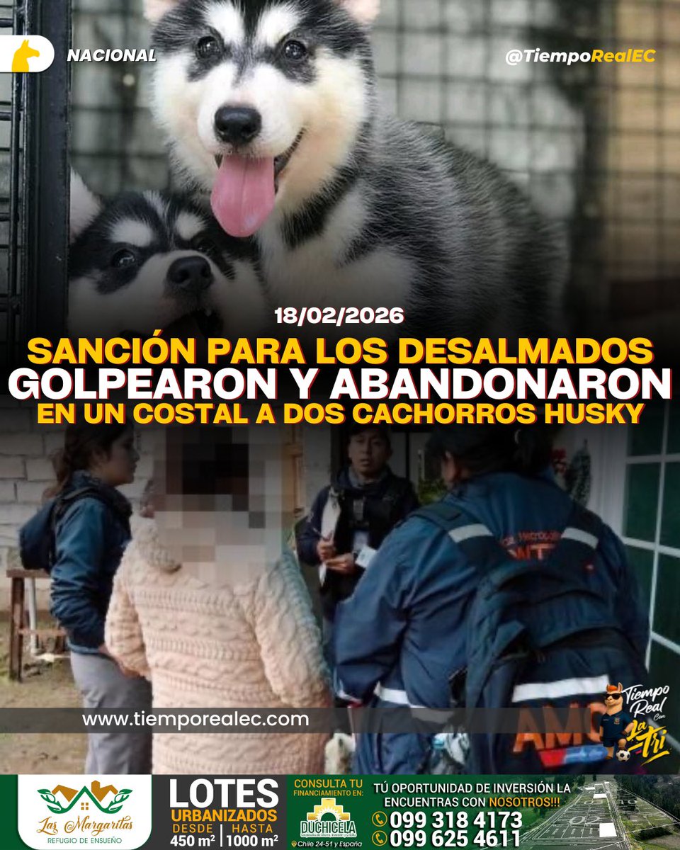 📰 Quito: rescatan a dos cachorros encerrados en un costal y sanciona a sus tutores

📍 La Unidad de Bienestar Animal (<a href="/UBAQuito/">Unidad de Bienestar Animal Quito</a> ) del Municipio de Quito rescató a dos cachorros similares a Husky que habían sido encerrados en un costal y abandonados en un parque del sur de la
