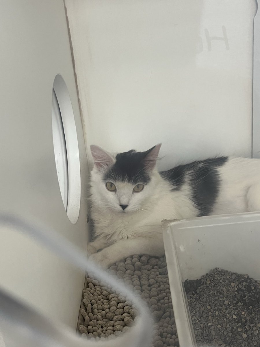 Sam Lowe tweet media