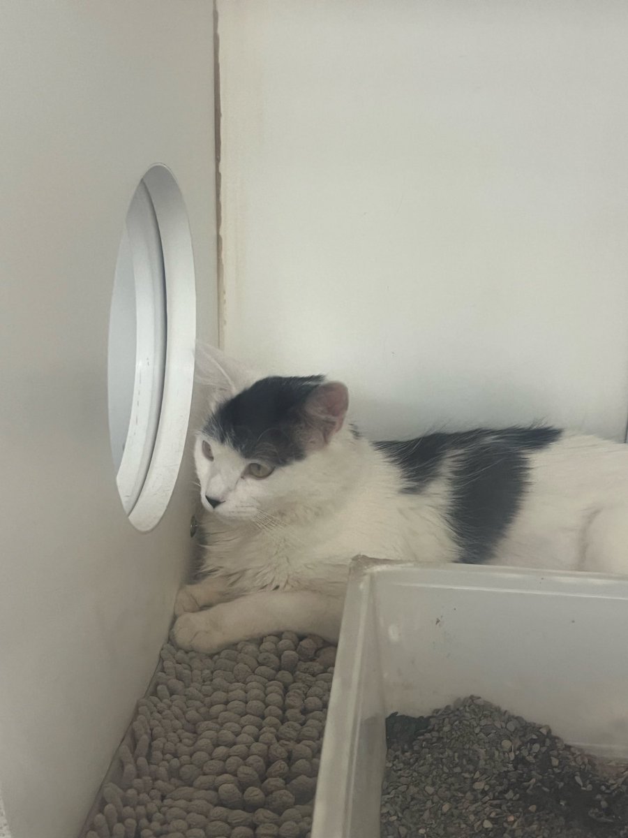 Sam Lowe tweet media