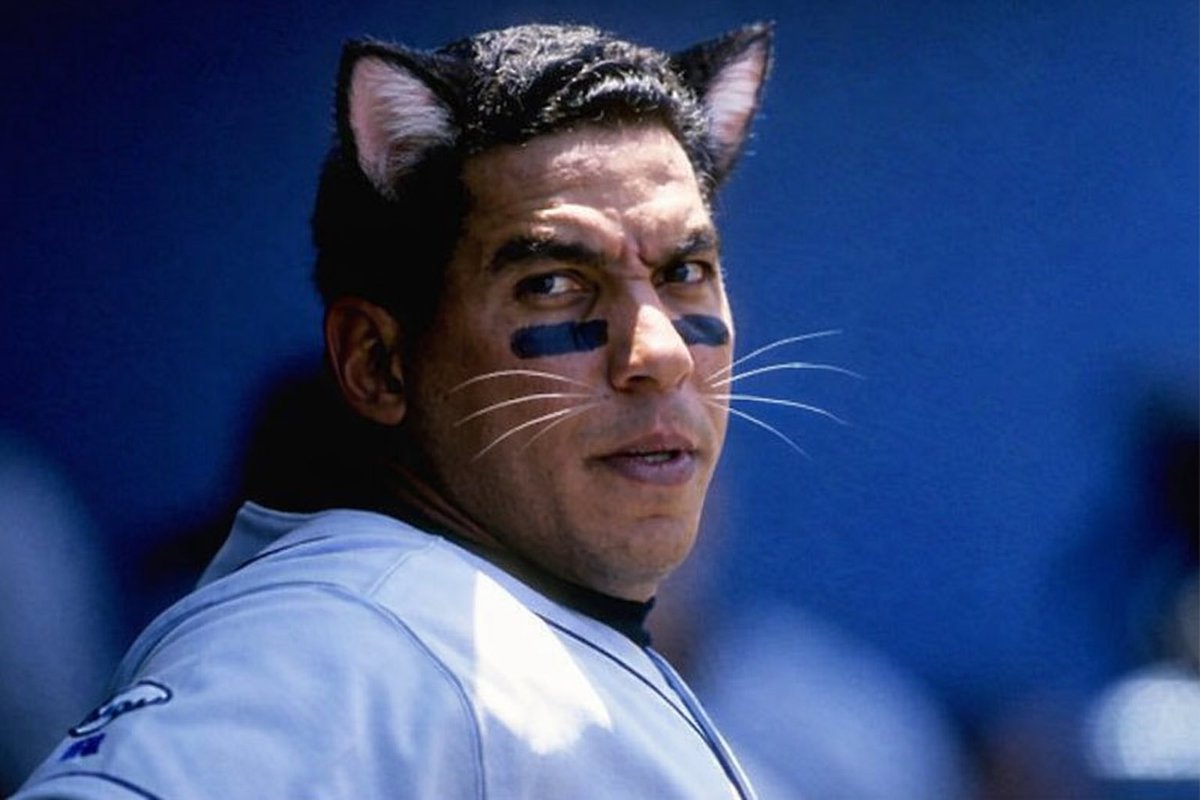 El gato Galarraga.