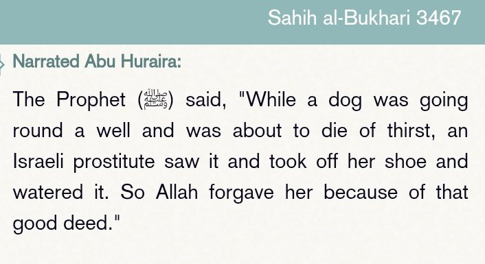 <a href="/BrotherRasheed/">Brother Rachid الأخ رشيد</a> This hadith refutes you.