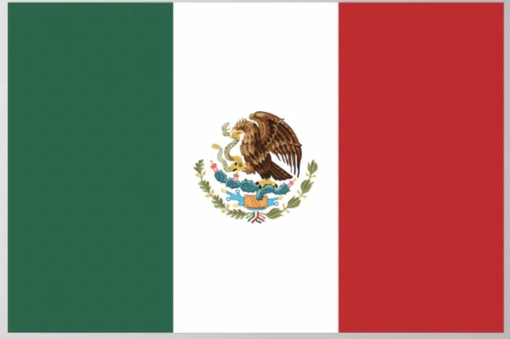 Born in the the states.
Descendant of hard working Mexicans!
This dragon🐉 is proud.