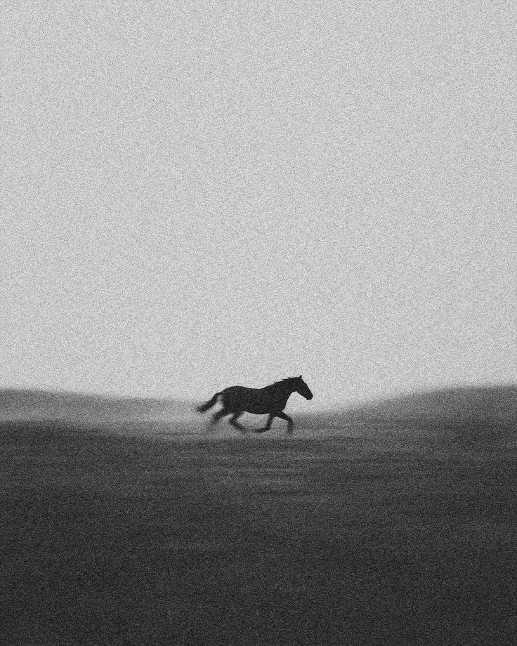 Li wargehên evînê
rêwî me îro heval
Diçim naçim dawî nayê..