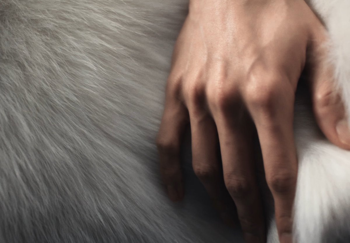 ツ (@jenowley) on Twitter photo 