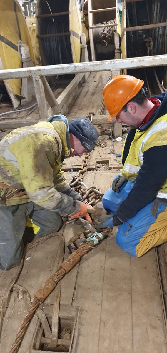 Great British Fish 🇬🇧 tweet media