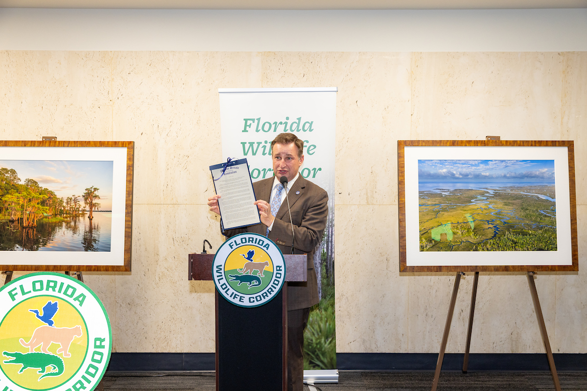 Florida Senate tweet media