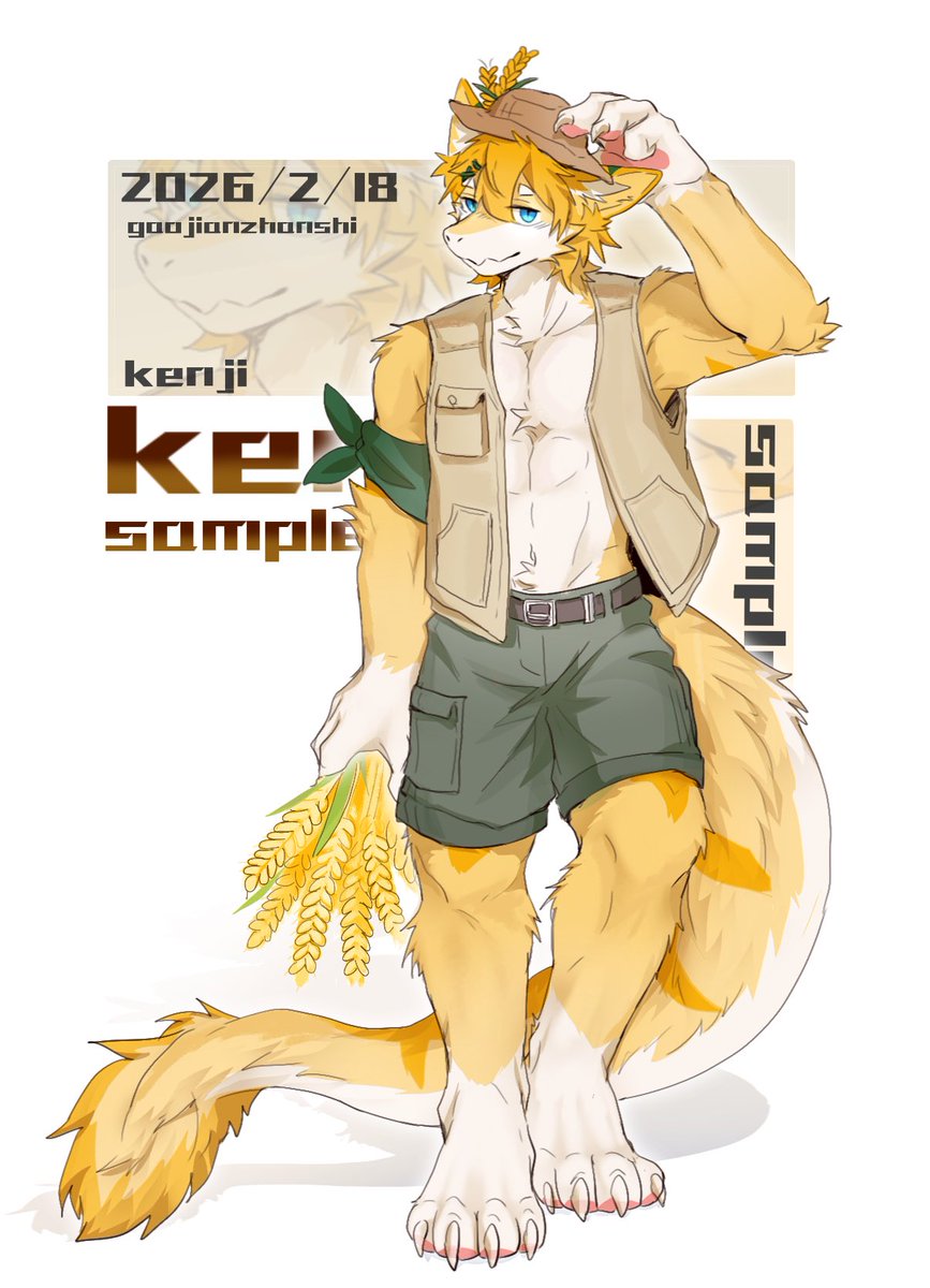 Kenji🌟 tweet media