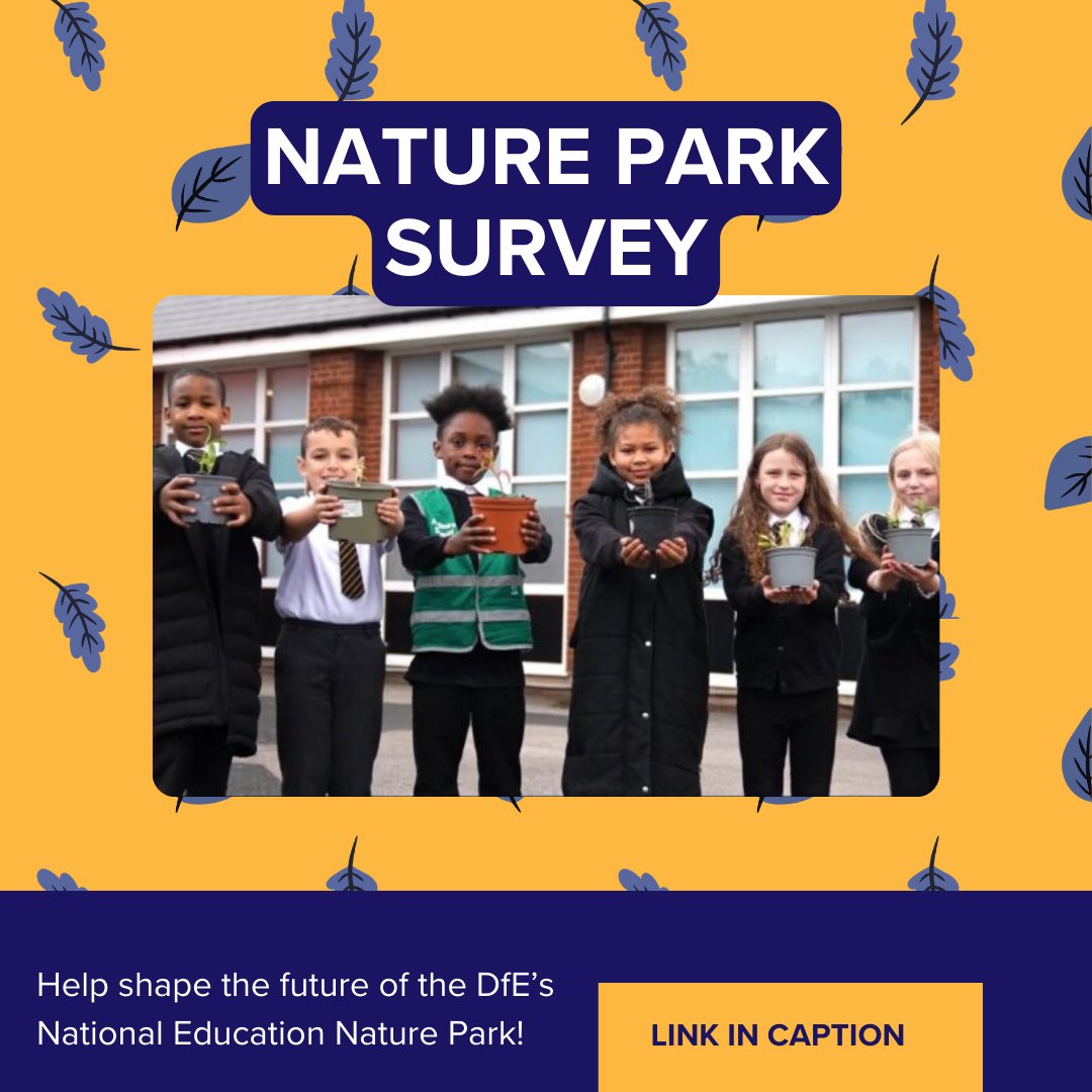 Foundation Years tweet media