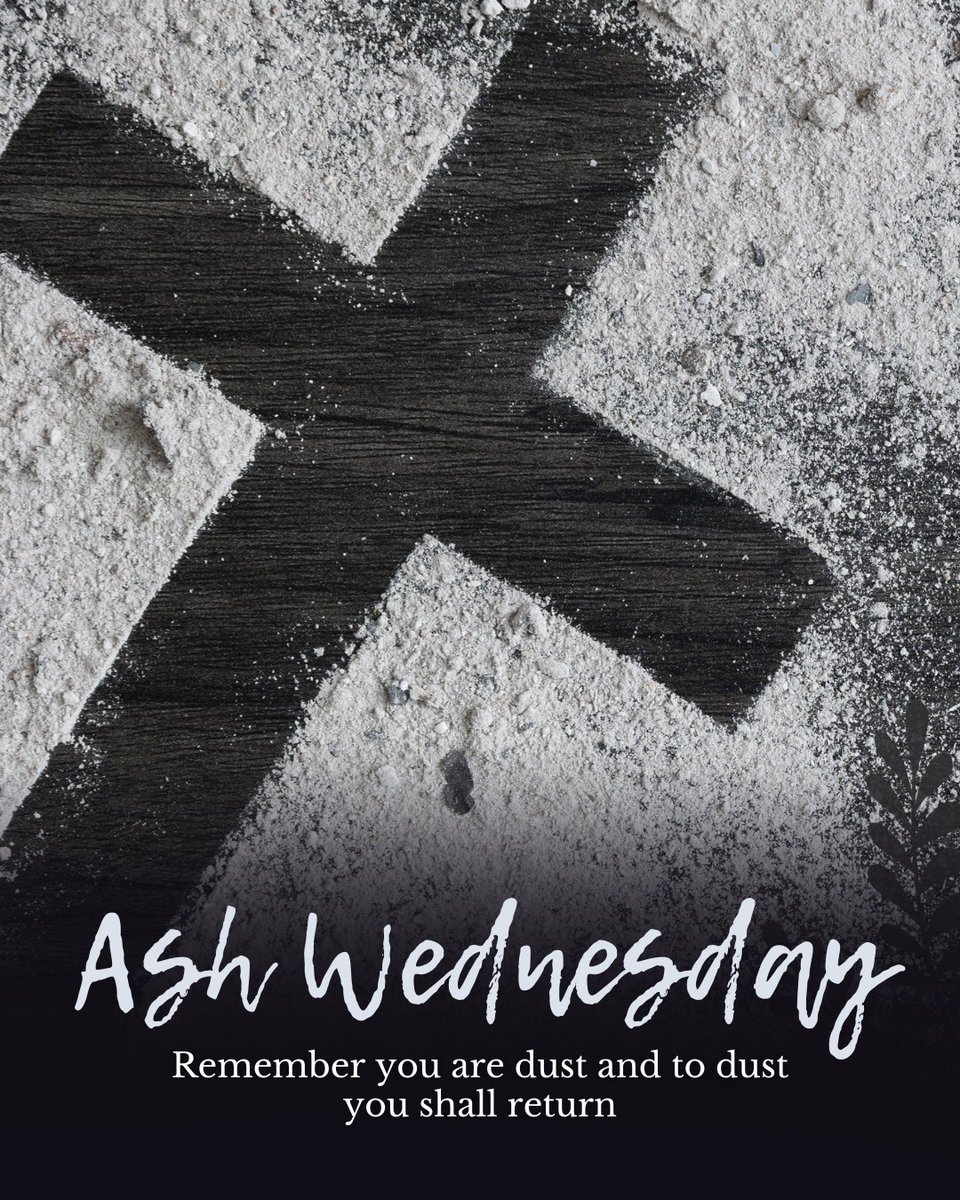 Rep. Tina Davis tweet media