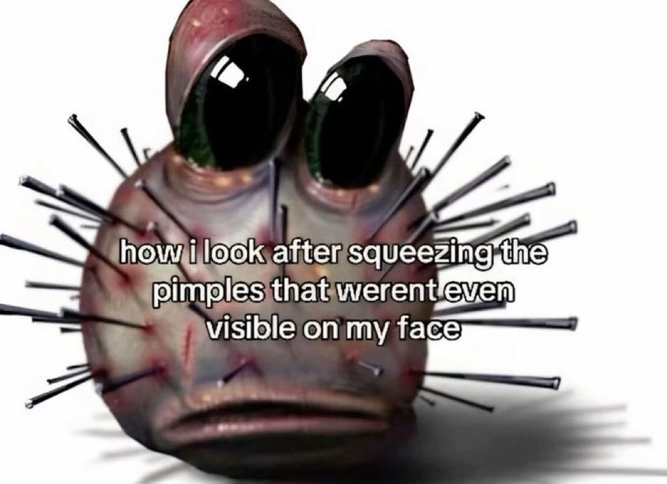 Internet Slop (@gimmickslop) on Twitter photo 